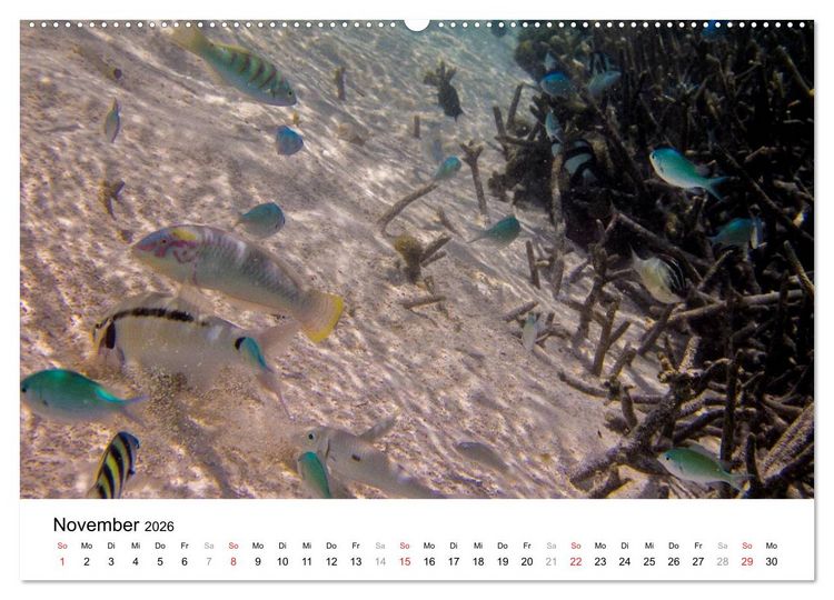Produktbild: Unterwasserwelt der Malediven II (hochwertiger Premium Wandkalender 2026 DIN A2 quer), Kunstdruck in Hochglanz