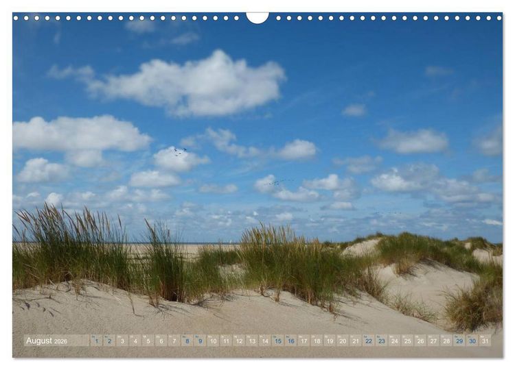 Produktbild: Texel. Neue D&uuml;nen (Wandkalender 2026 DIN A3 quer), CALVENDO Monatskalender