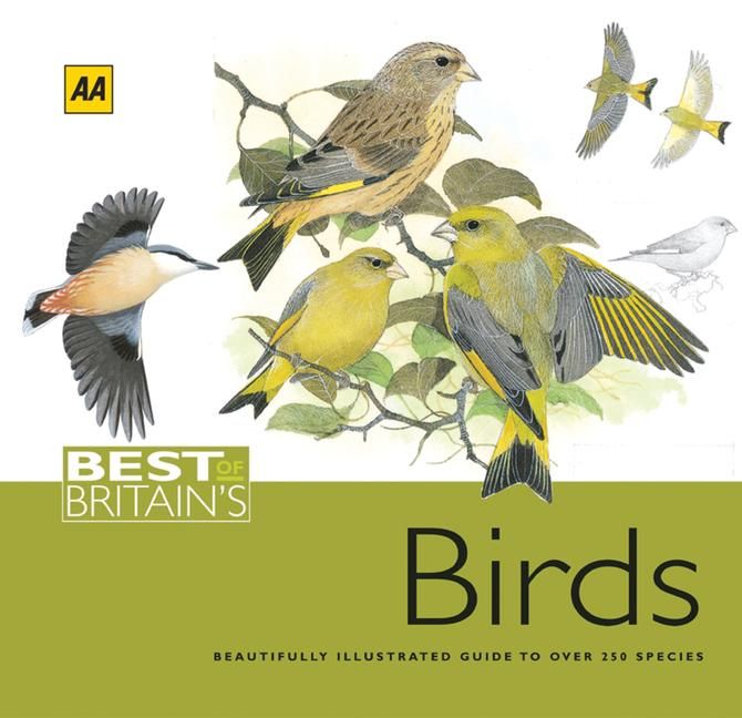 Produktbild: Best of Britain's Birds