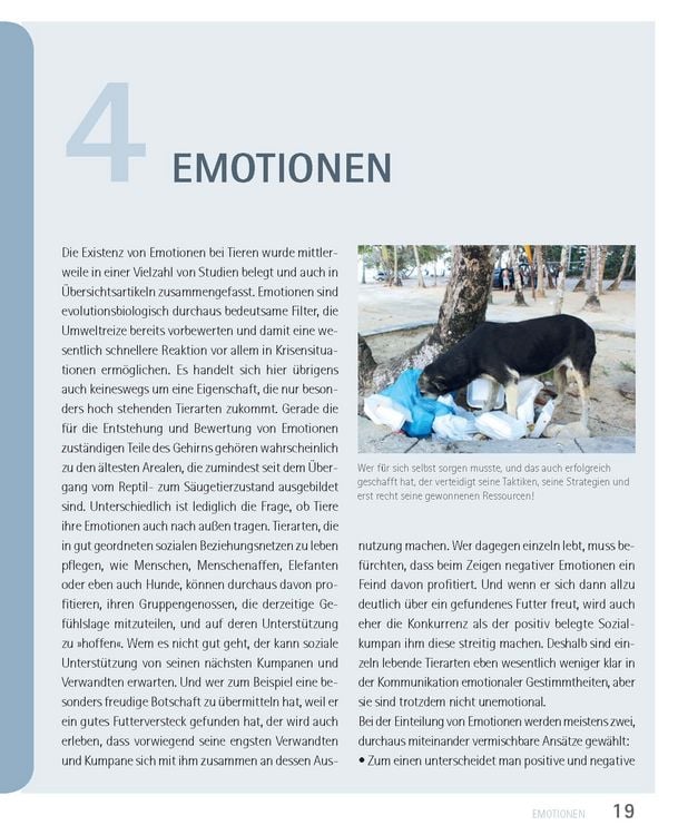 Produktbild: Mein Hund hat Angst