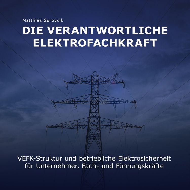 Produktbild: Die Verantwortliche Elektrofachkraft