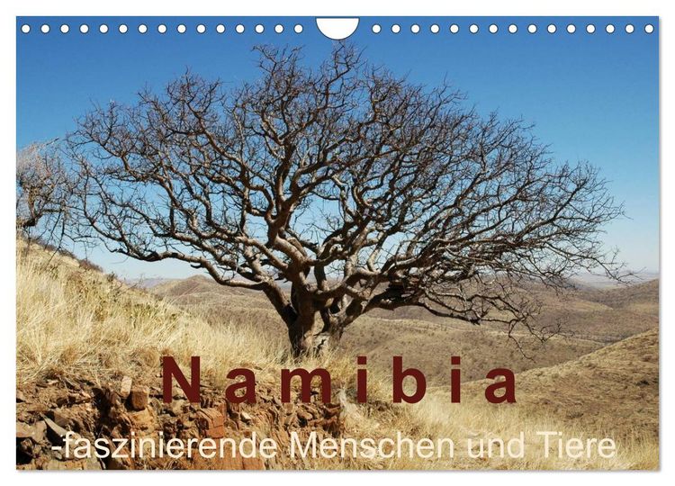 Produktbild: Namibia - faszinierende Menschen und Tiere (Wandkalender 2026 DIN A4 quer), CALVENDO Monatskalender