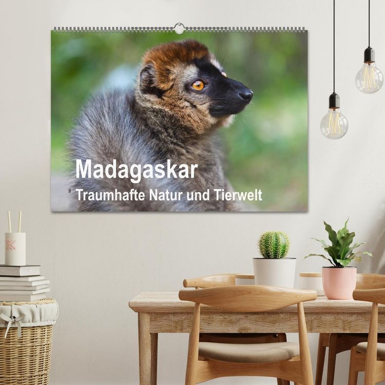 Produktbild: Madagaskar. Traumhafte Natur und Tierwelt (Wandkalender 2026 DIN A2 quer), CALVENDO Monatskalender