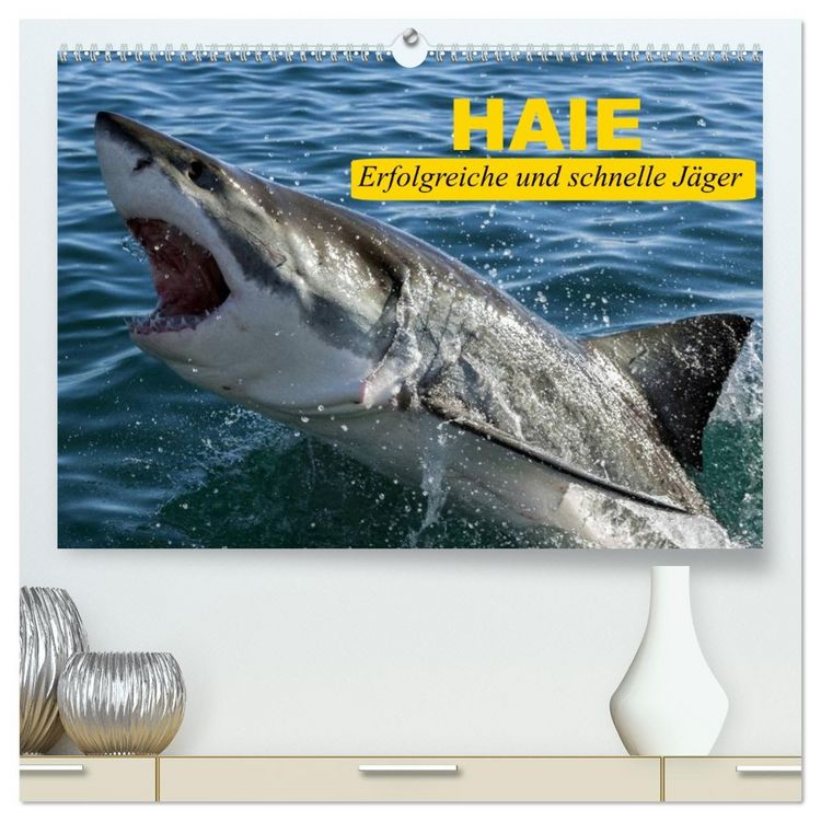 Produktbild: Haie. Erfolgreiche und schnelle J&auml;ger (hochwertiger Premium Wandkalender 2026 DIN A2 quer), Kunstdruck in Hochglanz