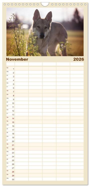Produktbild: Familienplaner 2026 - Wolfshunde 2026 mit 5 Spalten (Wandkalender, 21 x 45 cm) CALVENDO
