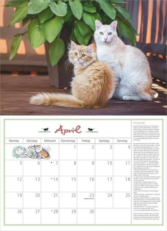 Produktbild: DuMonts Katzen Kalender 2027