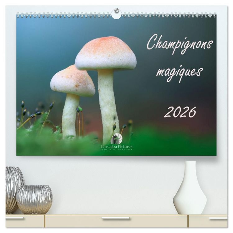 Produktbild: Champignons magiques (Calendrier mural haut de gamme 2027 DIN A2 vertical), CALVENDO calendrier mensuel