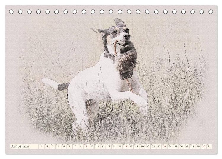 Produktbild: Bodeguero Andaluz 2026 (Tischkalender 2026 DIN A5 quer), CALVENDO Monatskalender