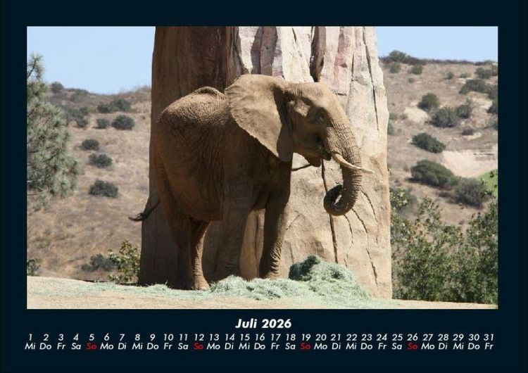 Produktbild: Der Tierkalender 2026 Fotokalender DIN A4