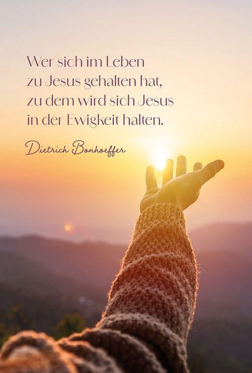 Produktbild: Beh&uuml;tet und getr&ouml;stet - Aufstellbuch