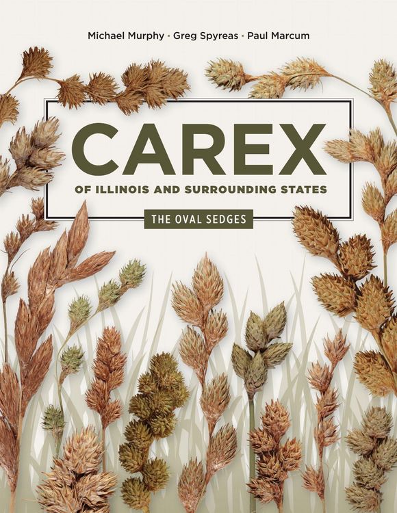 Produktbild: Carex of Illinois and Surrounding States