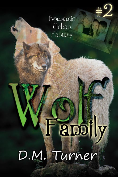 Produktbild: Family (Wolf, #2)