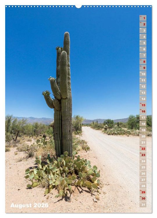 Produktbild: SAGUARO NATIONAL PARK W&uuml;stenimpressionen aus Arizona (hochwertiger Premium Wandkalender 2026 DIN A2 hoch), Kunstdruck in Hochglanz