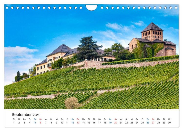 Produktbild: Rheingau - Rhein Riesling Kultur (Wandkalender 2026 DIN A4 quer), CALVENDO Monatskalender