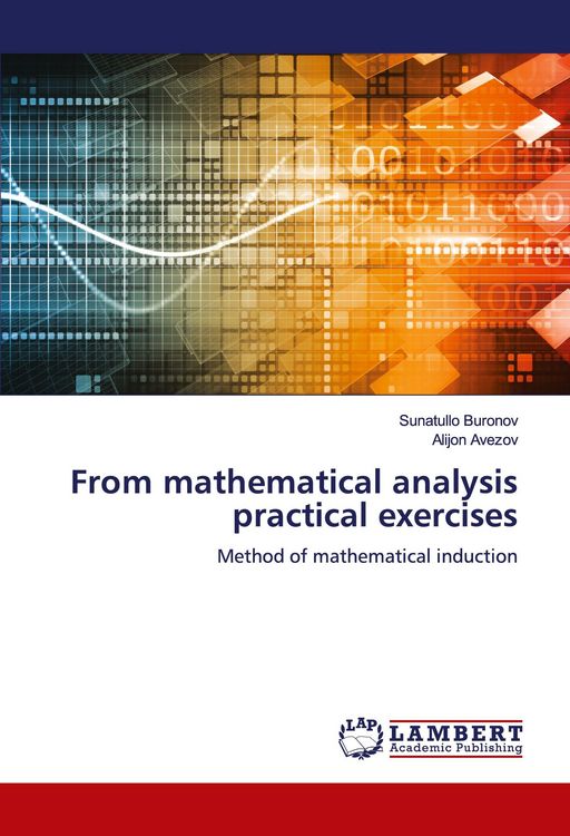 Produktbild: From mathematical analysis practical exercises