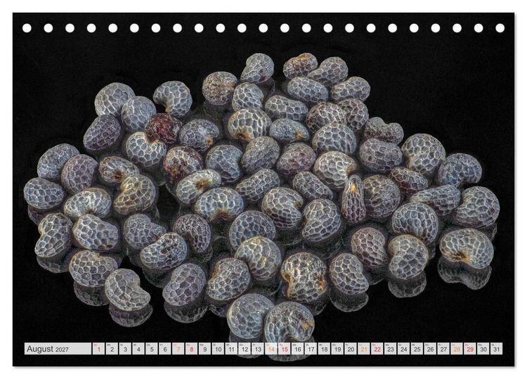 Produktbild: Zauber der kleinen Dinge (Tischkalender 2027 DIN A5 quer), CALVENDO Monatskalender