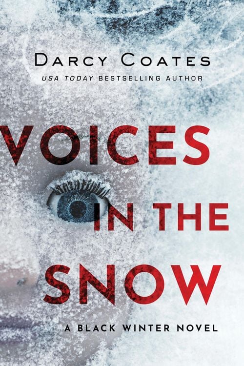 Produktbild: Voices in the Snow