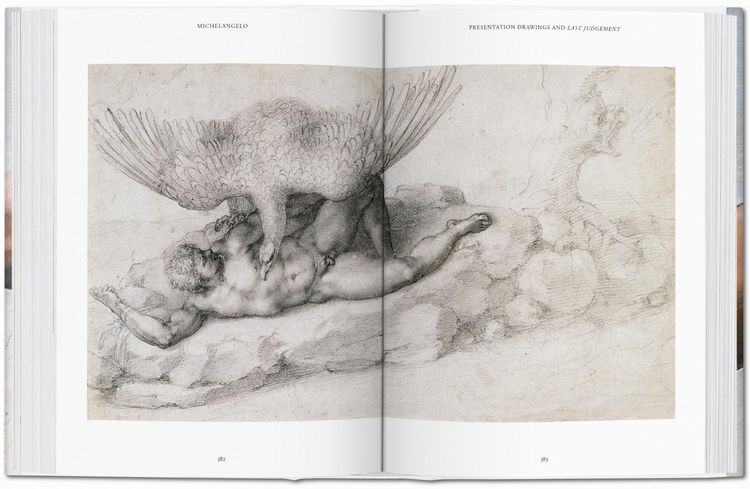 Produktbild: Michelangelo. Das vollst&auml;ndige Werk. Malerei, Skulptur, Architektur