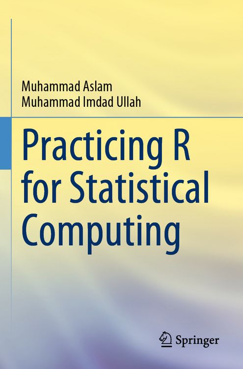 Produktbild: Practicing R for Statistical Computing
