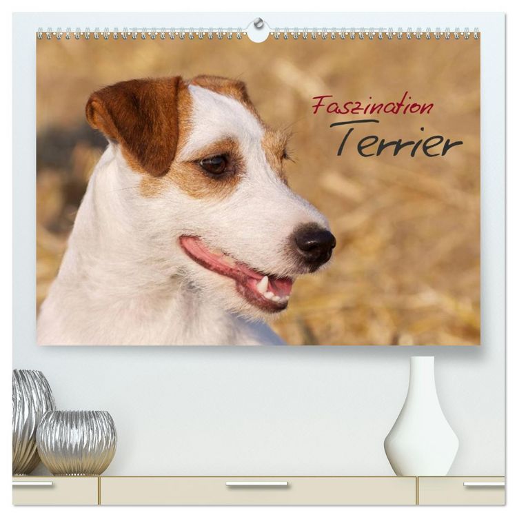 Produktbild: Faszination Terrier (hochwertiger Premium Wandkalender 2026 DIN A2 quer), Kunstdruck in Hochglanz