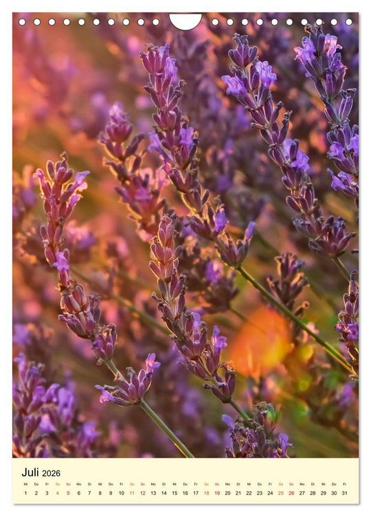 Produktbild: Provence Lavendel Paradies (Wandkalender 2026 DIN A4 hoch), CALVENDO Monatskalender