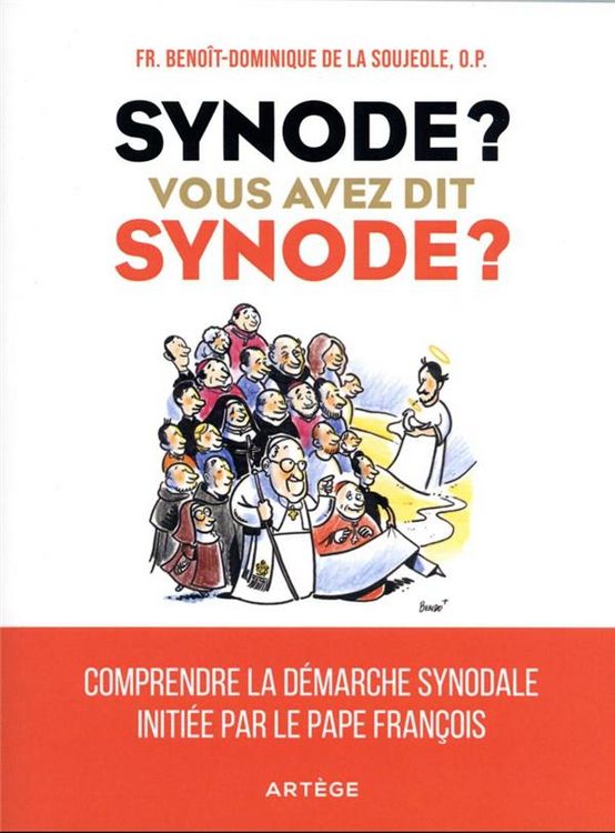 Produktbild: Synode ? Vous avez dit synode ?