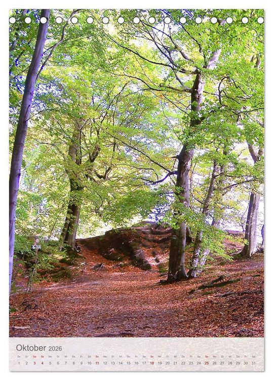 Produktbild: Im Nationalpark Jasmund - Naturwunder auf der Ostseeinsel R&uuml;gen (Tischkalender 2026 DIN A5 hoch), CALVENDO Monatskalender