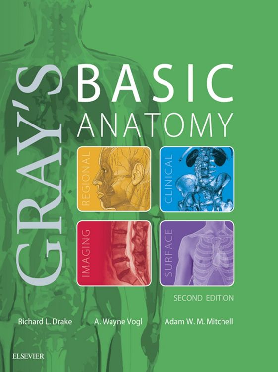 Produktbild: Gray's Basic Anatomy E-Book
