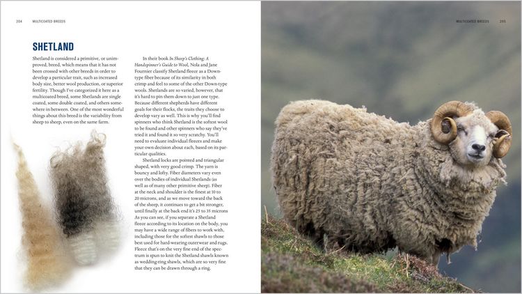 Produktbild: The Spinner's Book of Fleece