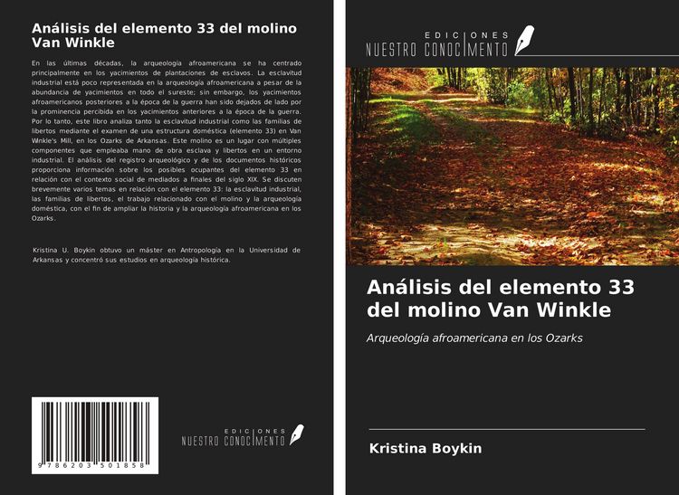 Produktbild: An&aacute;lisis del elemento 33 del molino Van Winkle