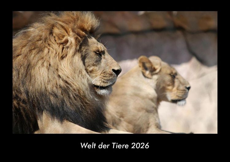 Produktbild: Welt der Tiere 2026 Fotokalender DIN A3