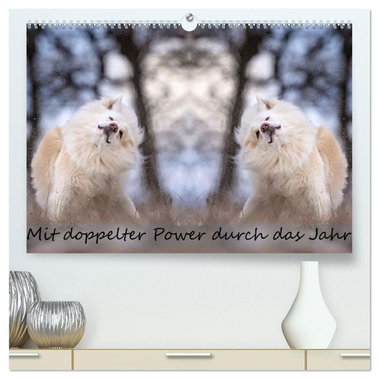 Produktbild: Mit doppelter Power durch das Jahr (hochwertiger Premium Wandkalender 2026 DIN A2 quer), Kunstdruck in Hochglanz