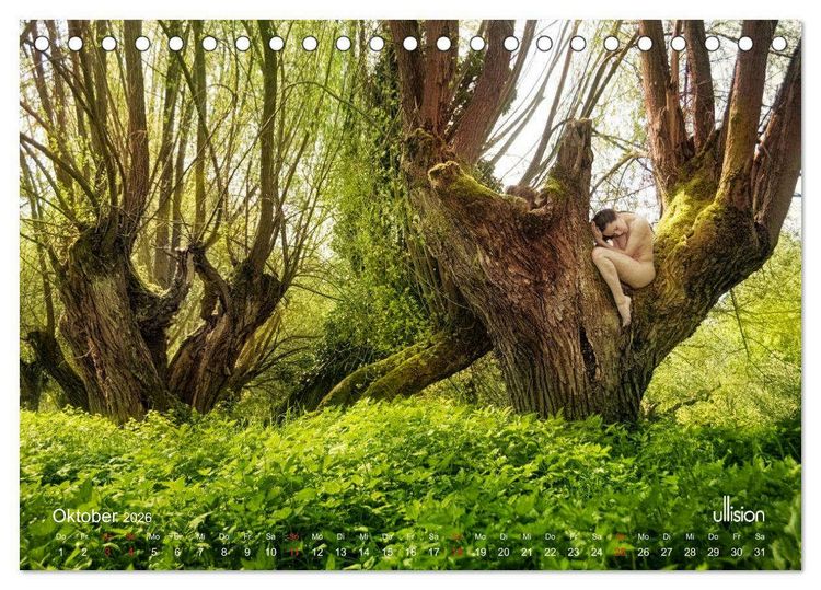 Produktbild: Lieblingsb&auml;ume - eins mit der Natur (Tischkalender 2026 DIN A5 quer), CALVENDO Monatskalender