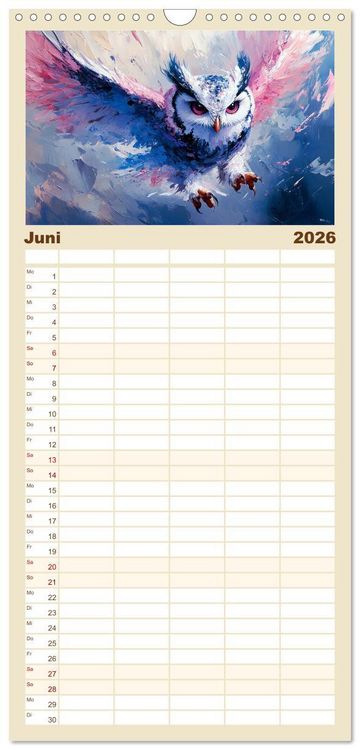 Produktbild: Familienplaner 2026 - Greifv&ouml;gel. Majest&auml;tische Luftakrobaten in &Ouml;loptik mit 5 Spalten (Wandkalender, 21 x 45 cm) CALVENDO