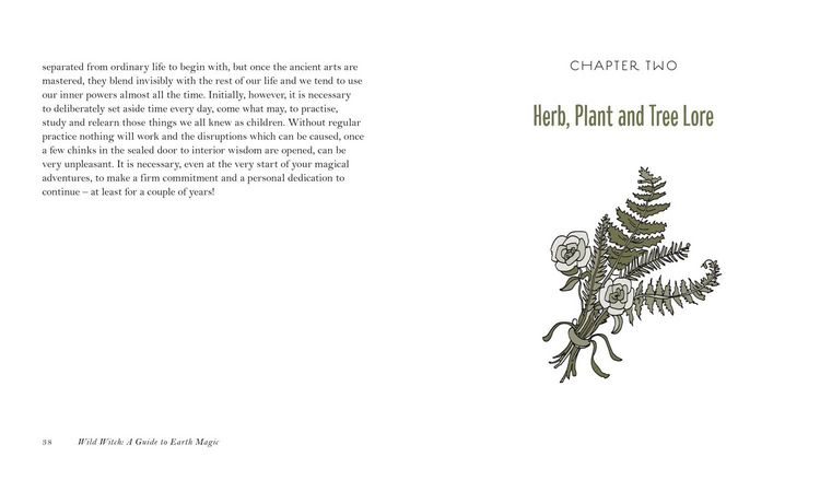 Produktbild: WILD WITCH HB