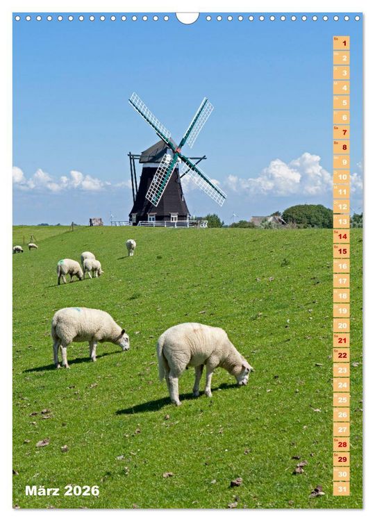 Produktbild: Deutschlands historische Windm&uuml;hlen (Wandkalender 2026 DIN A3 hoch), CALVENDO Monatskalender