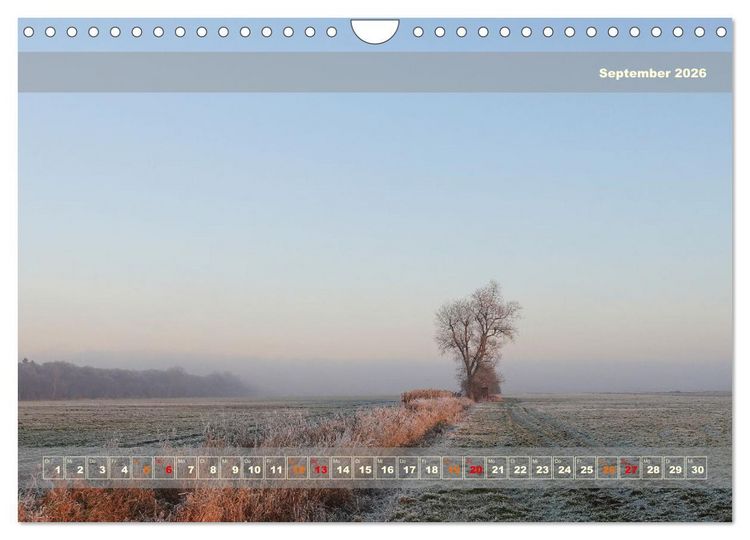 Produktbild: Licht im Land (Wandkalender 2026 DIN A4 quer), CALVENDO Monatskalender