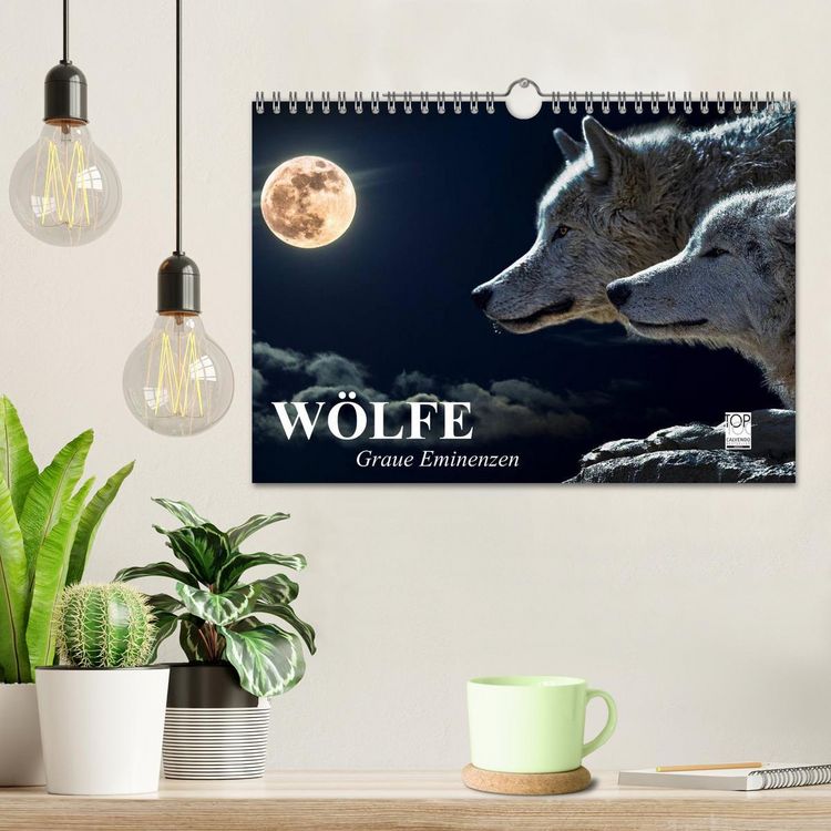 Produktbild: W&ouml;lfe. Graue Eminenzen (Wandkalender 2026 DIN A4 quer), CALVENDO Monatskalender