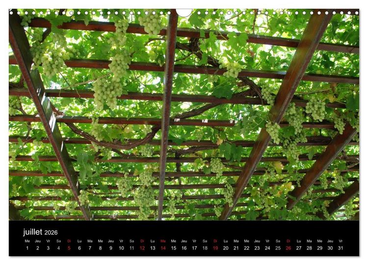 Produktbild: Cr&egrave;te, l'&icirc;le rebelle (Calendrier mural 2026 DIN A3 vertical), CALVENDO calendrier mensuel