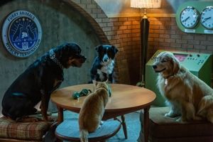 Produktbild: Cats & Dogs 3: Pfoten vereint!
