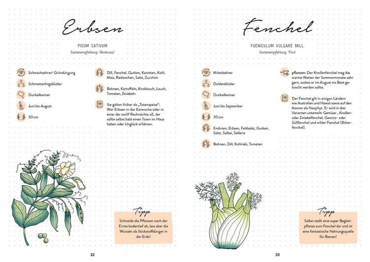 Produktbild: Mein Garten &ndash; Das illustrierte Gartenbuch