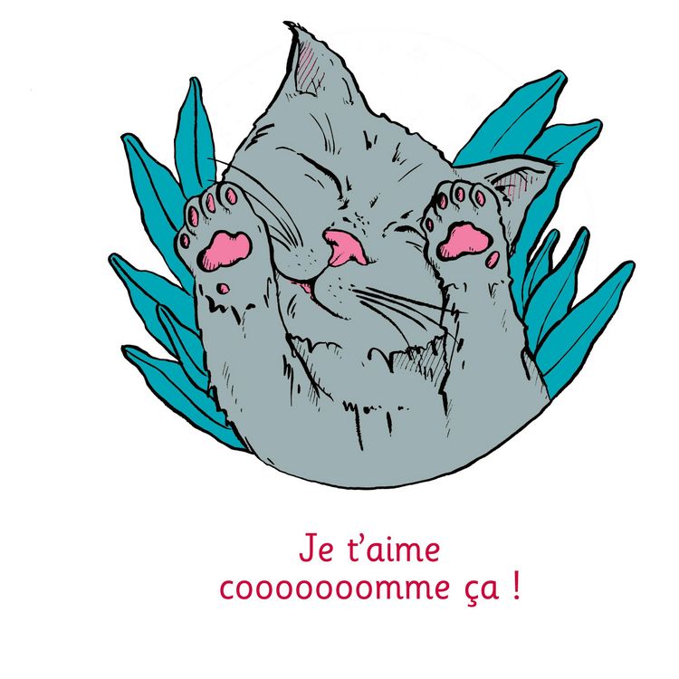 Produktbild: Je t'aime cooooooomme &ccedil;a ! - Illustr&eacute; par Anne Bory
