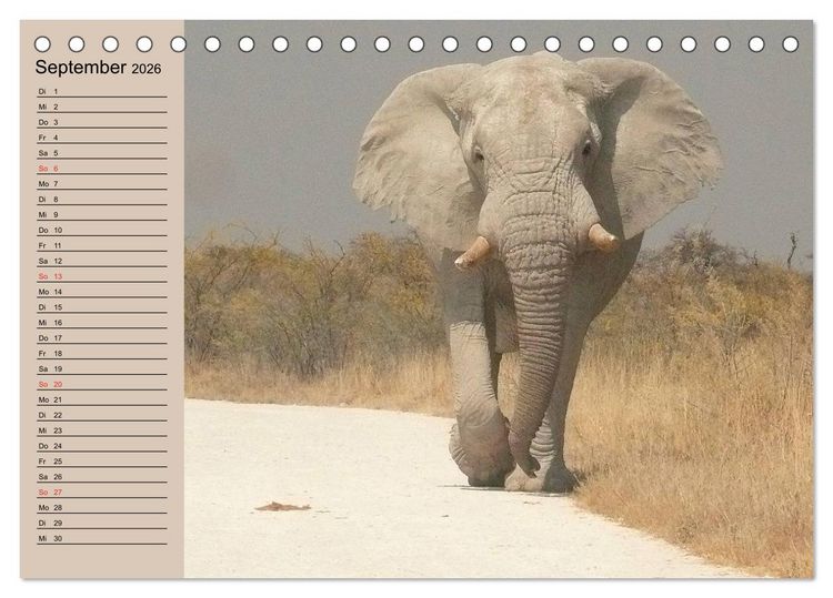Produktbild: Elefanten. Sensible R&uuml;sseltiere (Tischkalender 2026 DIN A5 quer), CALVENDO Monatskalender