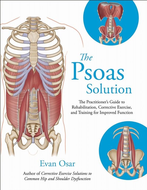 Produktbild: The Psoas Solution