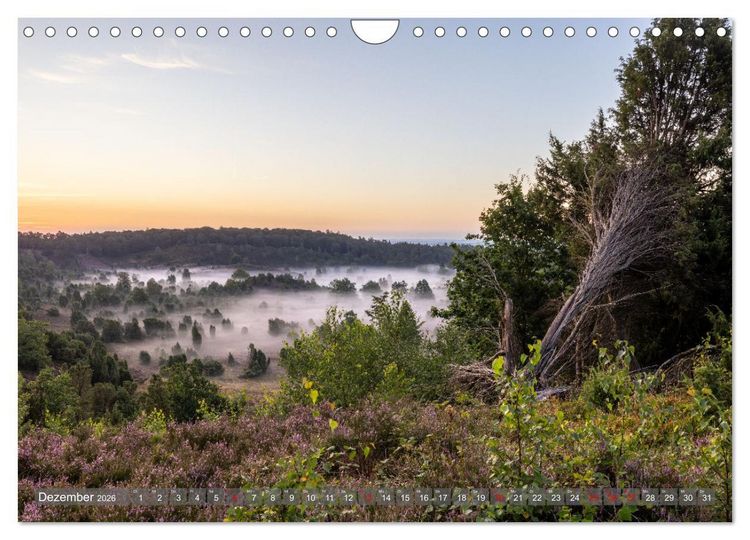 Produktbild: Die L&uuml;neburger Heide - In voller Bl&uuml;te (Wandkalender 2026 DIN A4 quer), CALVENDO Monatskalender