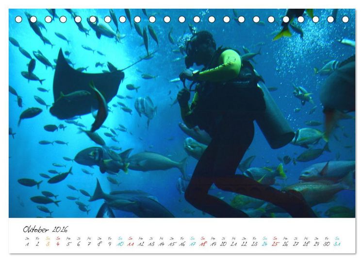 Produktbild: Dubai, die Stadt der Superlative. (Tischkalender 2026 DIN A5 quer), CALVENDO Monatskalender