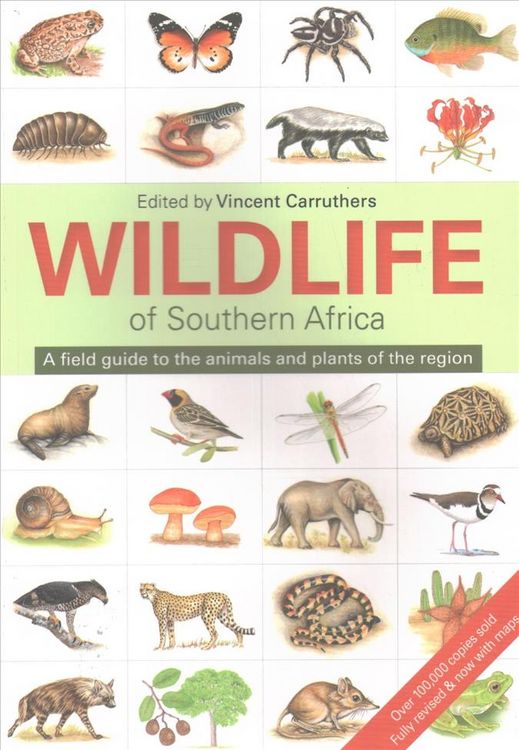 Produktbild: Wildlife of Southern Africa