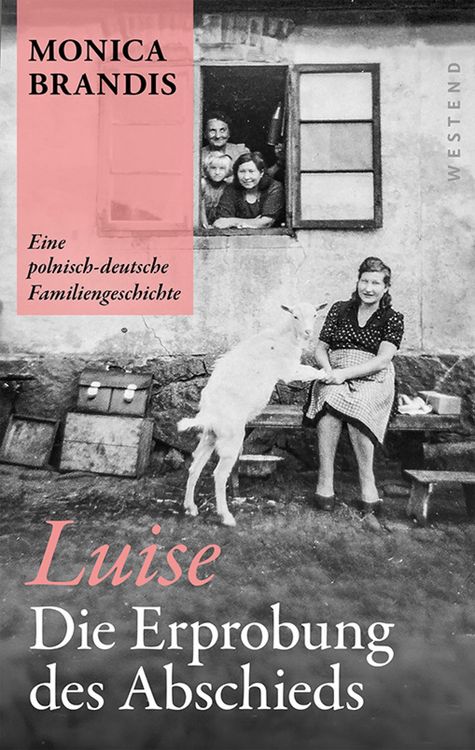 Produktbild: Luise. Die Erprobung des Abschieds