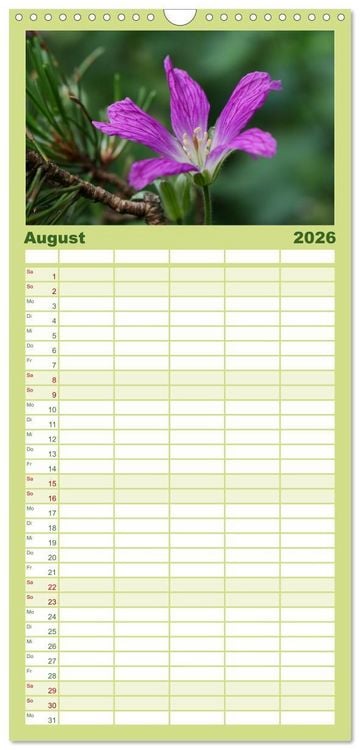 Produktbild: Familienplaner 2026 - Traum Blumen mit 5 Spalten (Wandkalender, 21 x 45 cm) CALVENDO