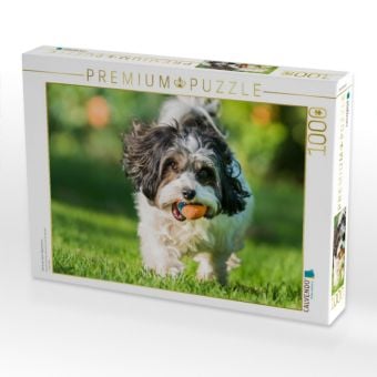 Produktbild: CALVENDO Puzzle Havanser beim Apportieren | 1000 Teile Lege-Gr&ouml;&szlig;e 64x48cm Foto-Puzzle f&uuml;r gl&uuml;ckliche Stunden